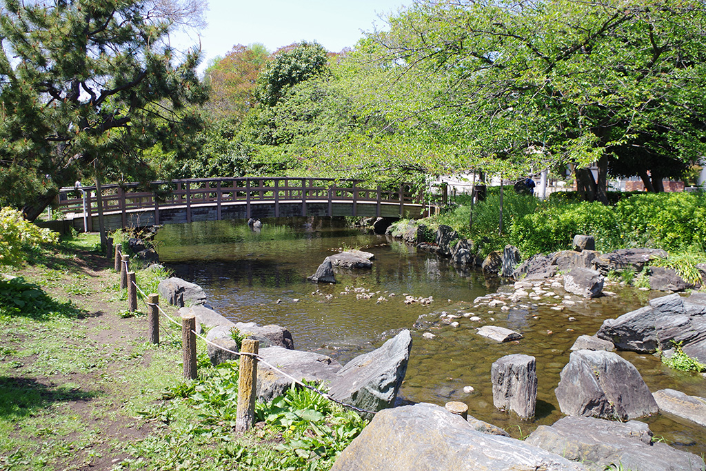 遊歩道沿いに続くせせらぎ/東綾瀬公園（東京都/足立区）