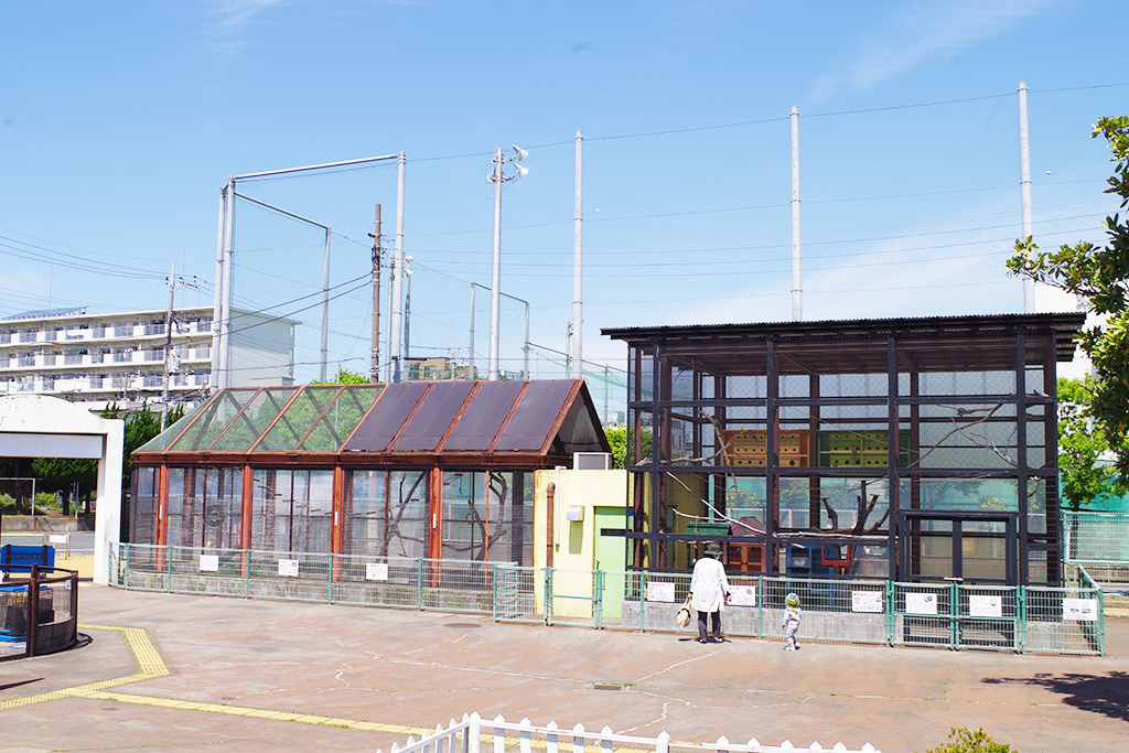 小動物展示コーナー/上千葉砂原公園(東京都/葛飾区)