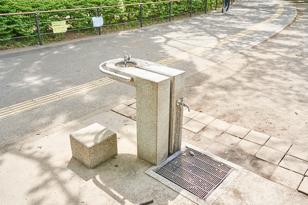 踏み台が付いた水飲み場/小平市立中央公園(東京都/小平市)