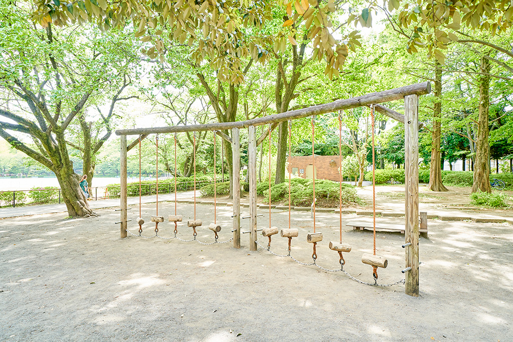 丸太渡り/小平市立中央公園(東京都/小平市)