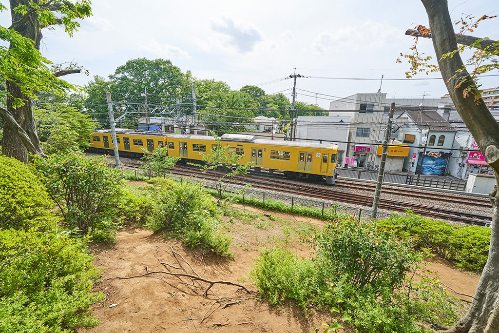 線路横の築山からの眺め/小平市立中央公園(東京都/小平市)