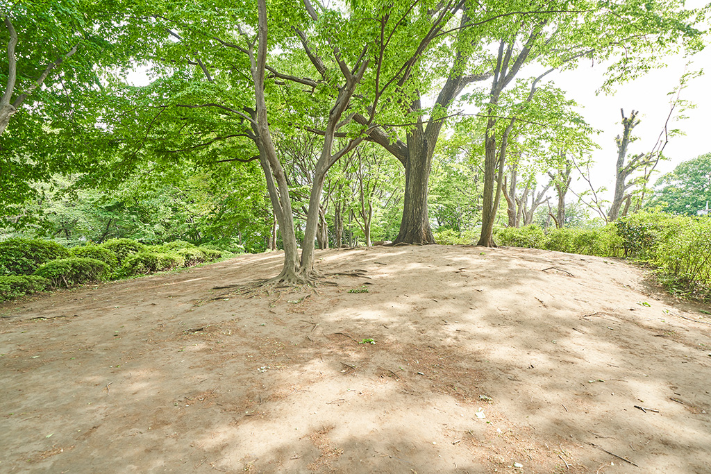 築山/小平市立中央公園(東京都/小平市)