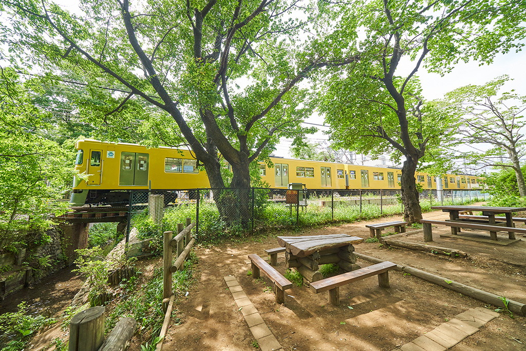 築山のそばを走る西武国分寺線/小平市立中央公園(東京都/小平市)