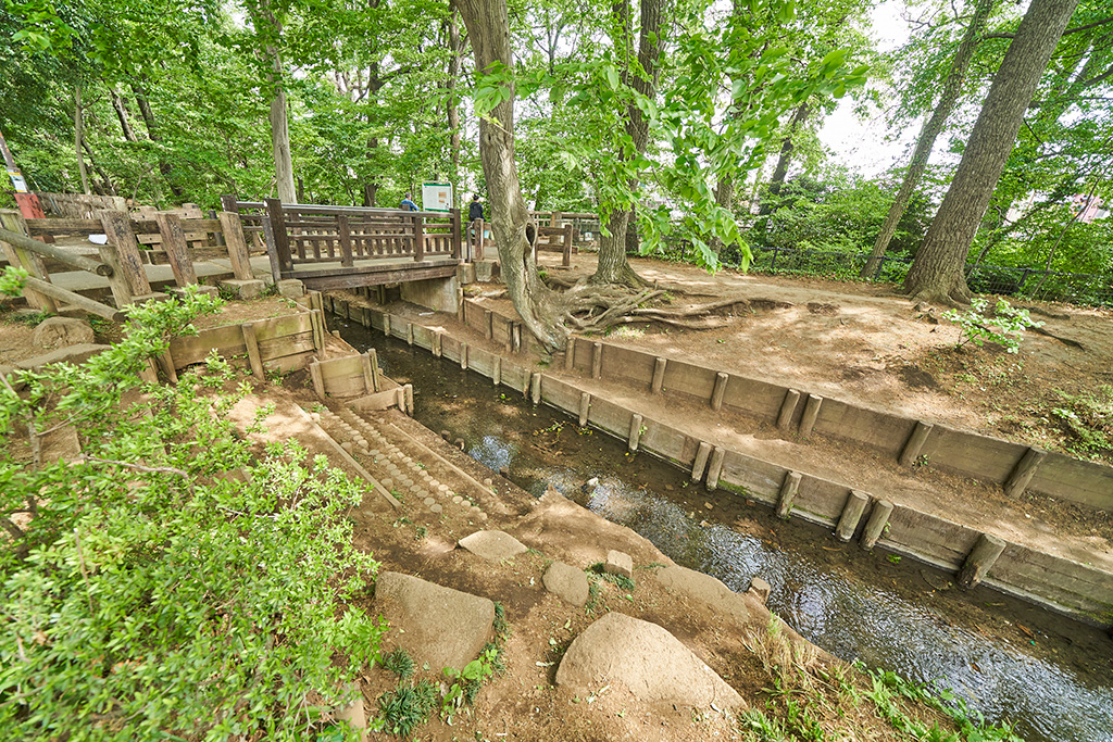 /小平市立中央公園(東京都/小平市)