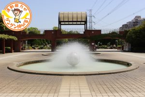 遊具、庭園、スポーツ広場など、思いっきり体を動かせるスポット満載の総合レクリエーション公園(江戸川区)