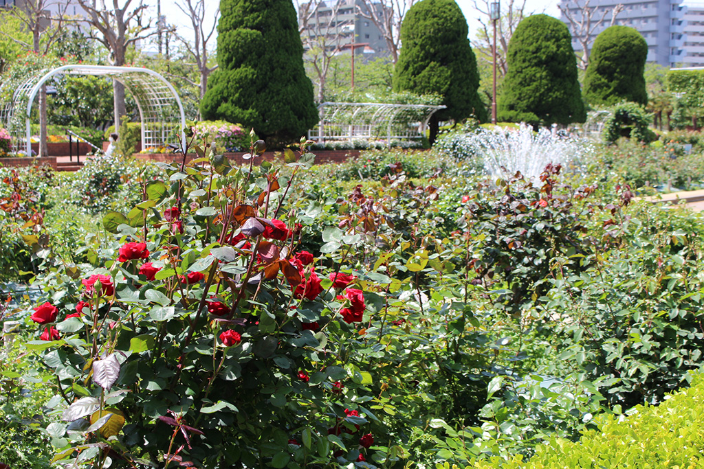 「フラワーガーデン」／総合レクリエーション公園（東京都／江戸川区）