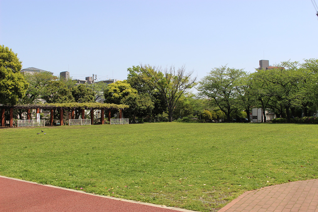 「芝生広場」／総合レクリエーション公園（東京都／江戸川区）