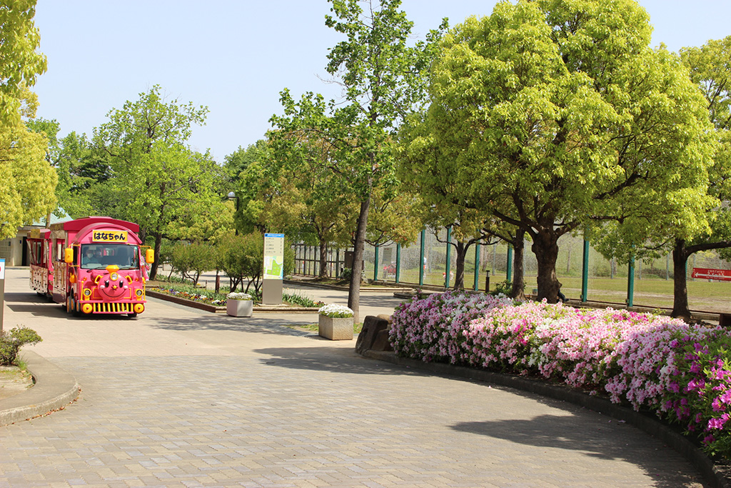 「園内」／総合レクリエーション公園（東京都／江戸川区）
