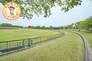 稲城中央公園(稲城市)のローラーすべり台が大人気! 思い切り体を動かせる芝生広場も