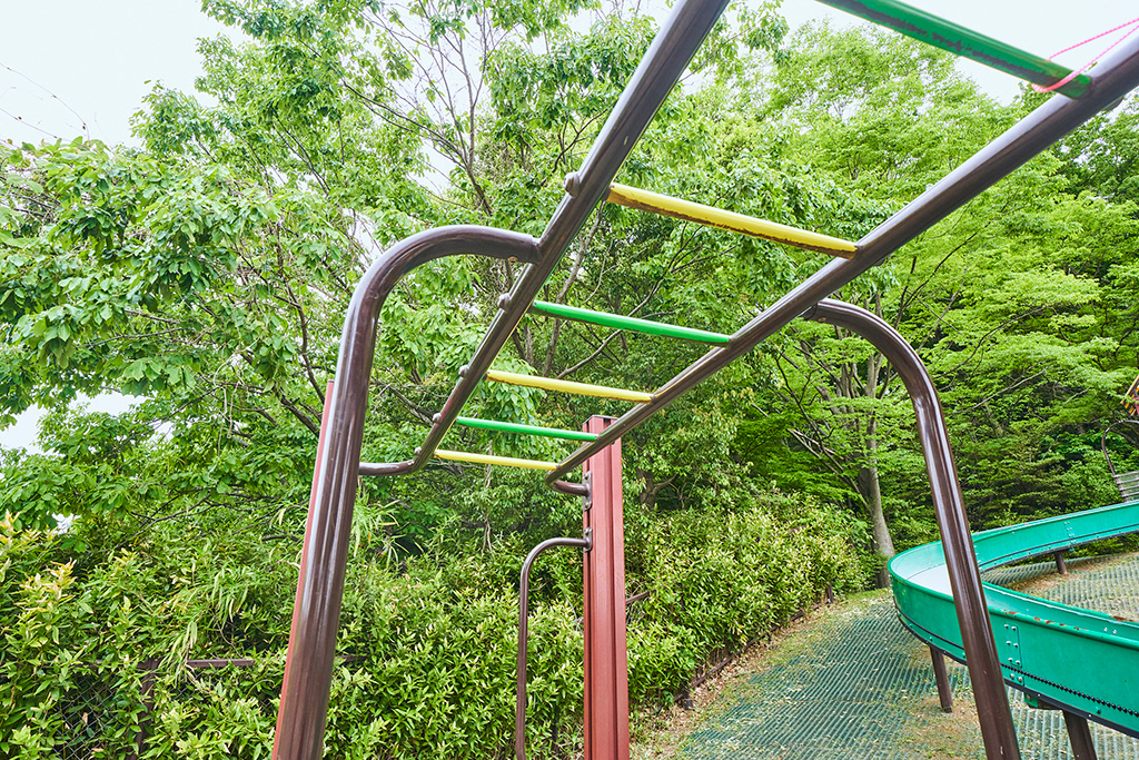 うんてい（複合遊具：大）/稲城中央公園（東京都/稲城市）