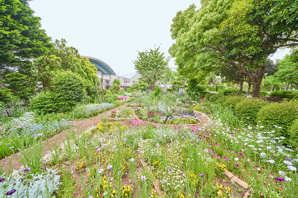 ミニガーデン/稲城中央公園（東京都/稲城市）