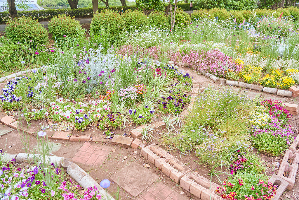 ミニガーデン/稲城中央公園（東京都/稲城市）