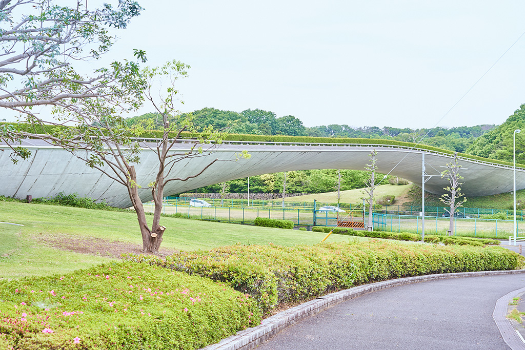 くじら橋/稲城中央公園（東京都/稲城市）