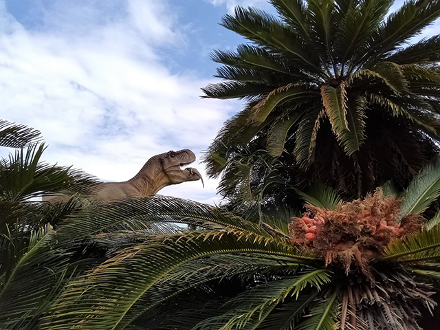 ティラノサウルス/伊豆ぐらんぱる公園（静岡県/伊東市）