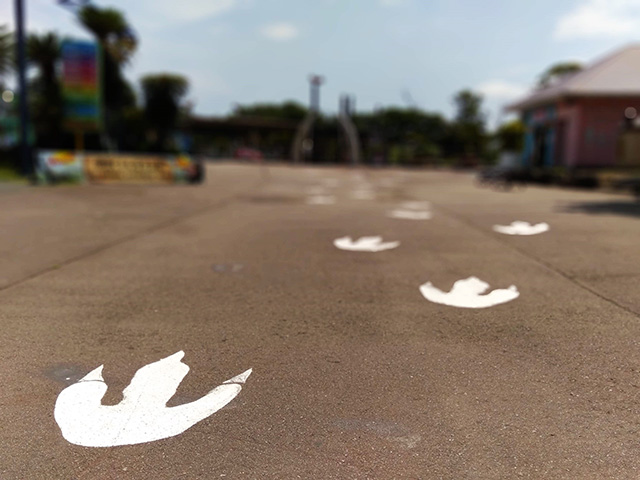 恐竜と思われる足跡/伊豆ぐらんぱる公園（静岡県/伊東市）