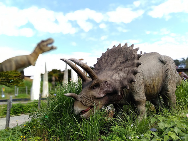 トリケラトプス/伊豆ぐらんぱる公園（静岡県/伊東市）
