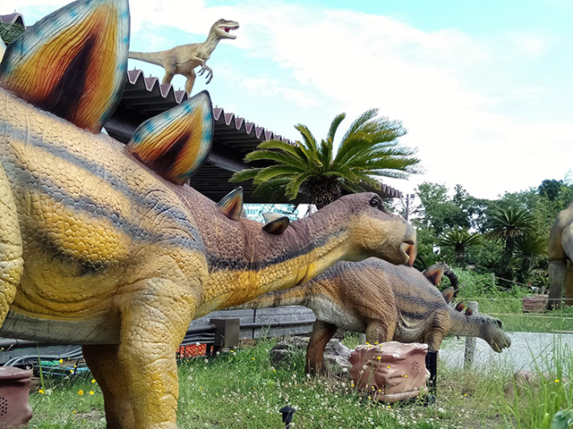 ステゴサウルス/伊豆ぐらんぱる公園（静岡県/伊東市）