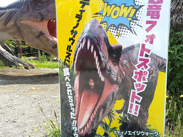 フォトスポット/伊豆ぐらんぱる公園（静岡県/伊東市）