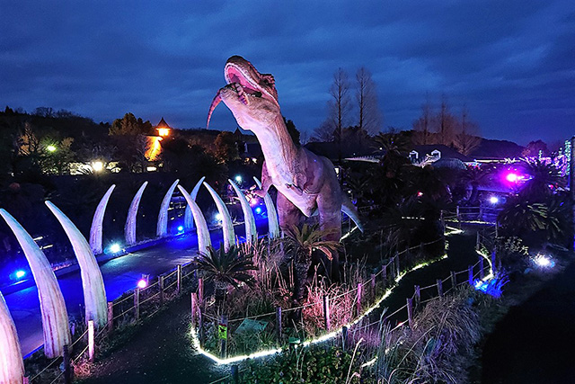 ナイトタイムの「伊豆高原グランイルミ」の様子/伊豆ぐらんぱる公園（静岡県/伊東市）