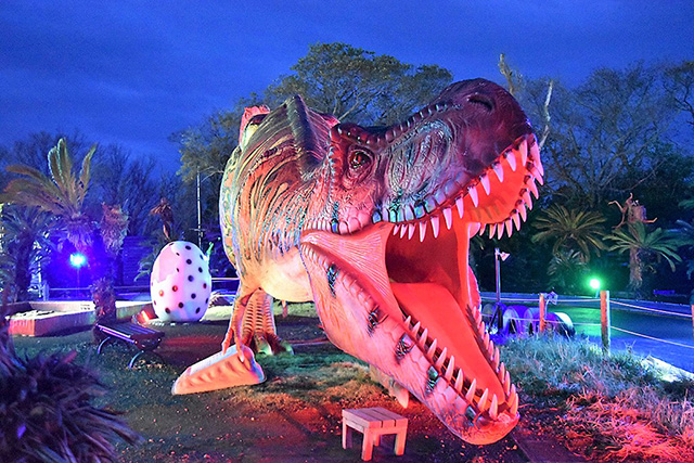 ナイトタイムの「伊豆高原グランイルミ」の様子/伊豆ぐらんぱる公園（静岡県/伊東市）
