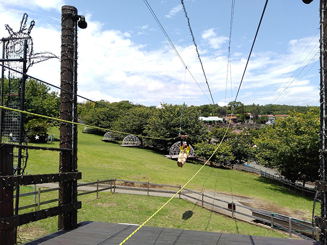 「ジップライン～風KAZE～」/伊豆ぐらんぱる公園（静岡県/伊東市）
