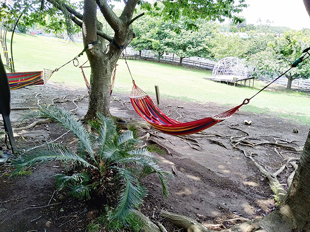 ハンモック/伊豆ぐらんぱる公園（静岡県/伊東市）