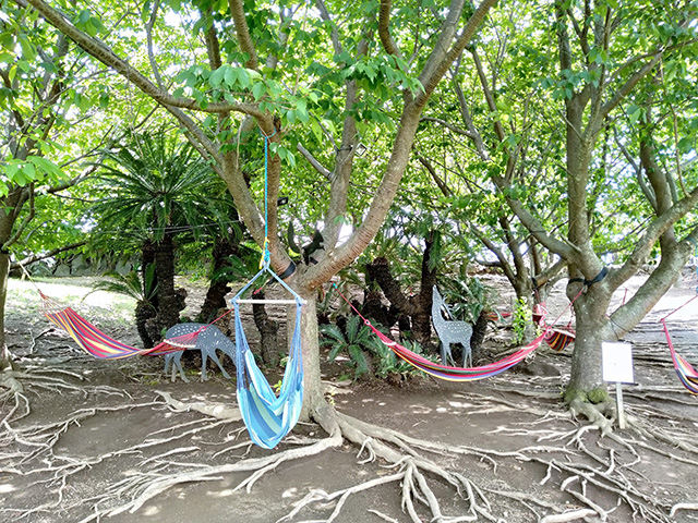 ハンモック/伊豆ぐらんぱる公園（静岡県/伊東市）