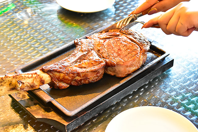 レストラン/伊豆ぐらんぱる公園（静岡県/伊東市）