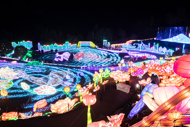 「伊豆高原グランイルミ」の様子/伊豆ぐらんぱる公園（静岡県/伊東市）