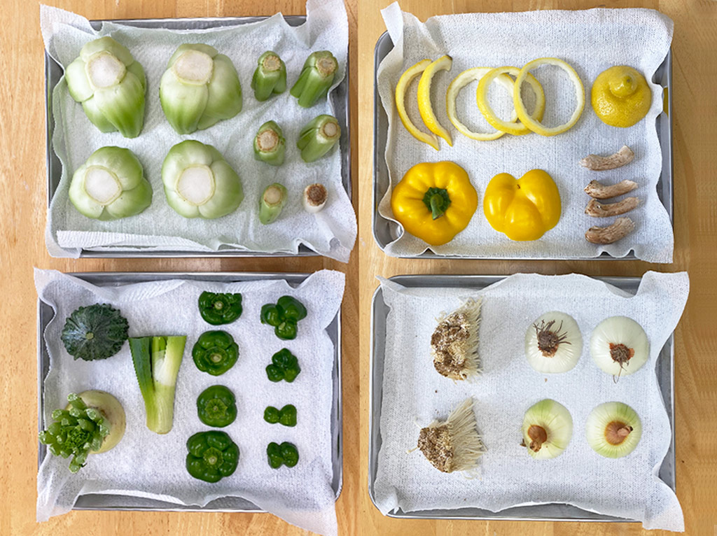 野菜スタンプを楽しむポイント：野菜は少し乾燥させる