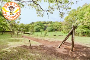 都立小山田緑地(町田市)の緑あふれる丘陵地でのびのび遊ぼう!