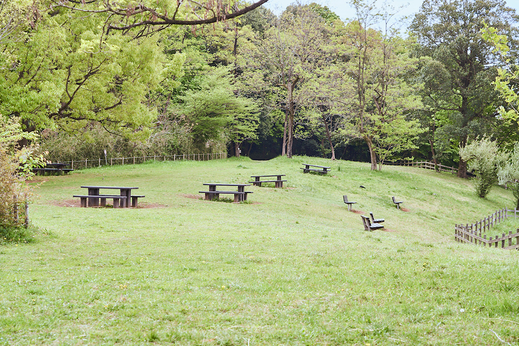 みはらし広場/都立小山田緑地(東京都/町田市)
