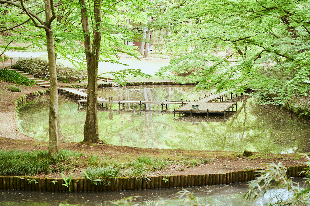 小山田の谷/都立小山田緑地(東京都/町田市)