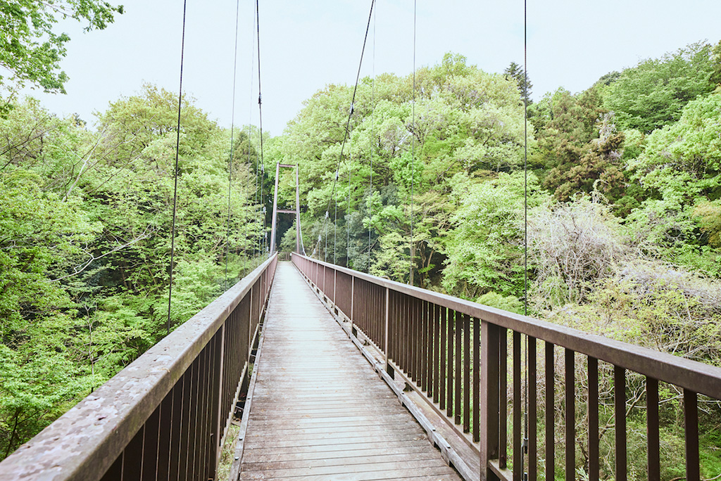 つり橋/都立小山田緑地(東京都/町田市)