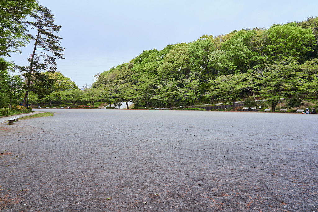多目的広場/芹ヶ谷公園（東京都/町田市）