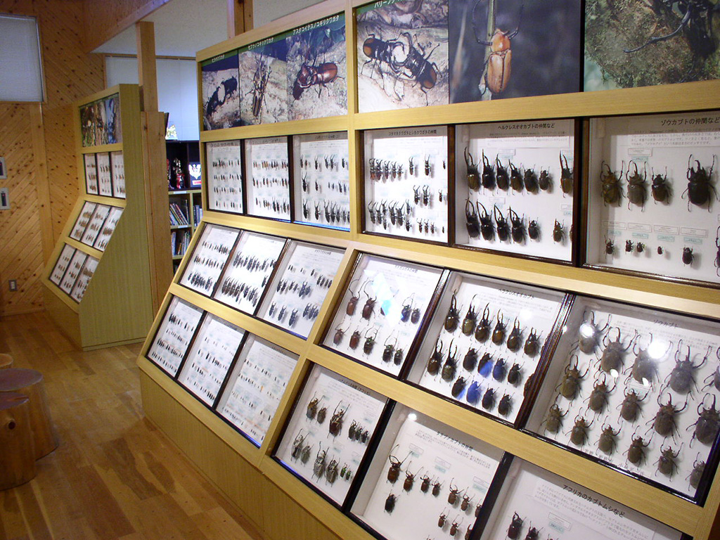 かぶと・くわがたわくわく館 館内/リフレッシュパーク市川(兵庫県/市川町)