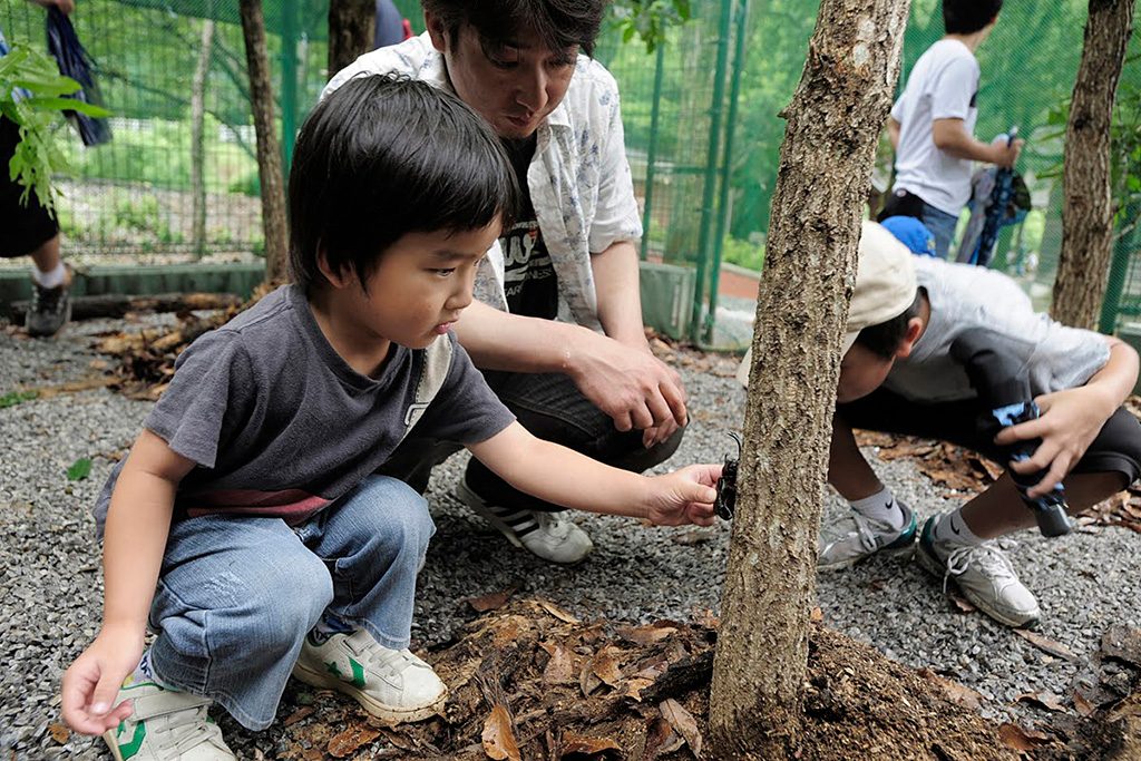 かぶとむしに触れ合う様子/直川憩の森公園キャンプ場（大分県/佐伯市）
