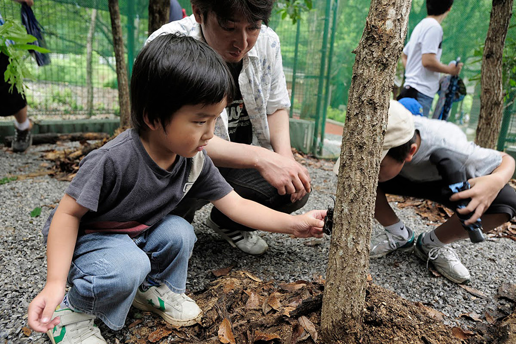 かぶとむしに触れ合う様子/直川憩の森公園キャンプ場（大分県/佐伯市）