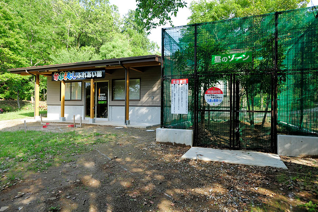 かぶとむしふれあい館/直川憩の森公園キャンプ場（大分県/佐伯市）