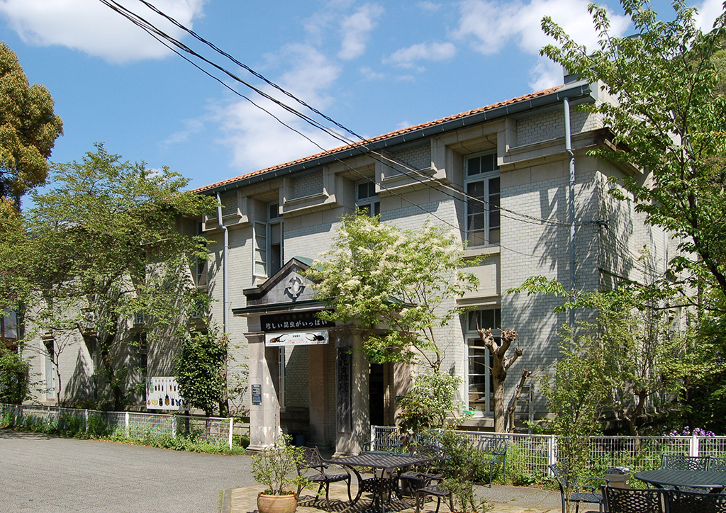 名和昆虫博物館外観(岐阜県/岐阜市)