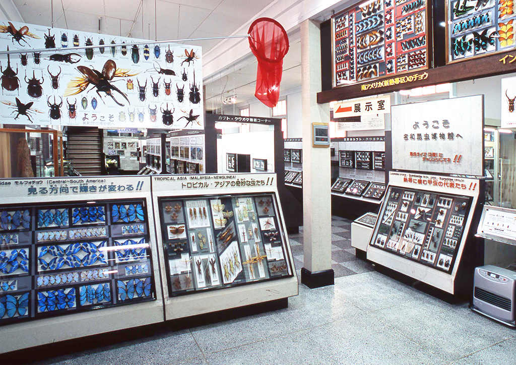 名和昆虫博物館 館内1階(岐阜県/岐阜市)