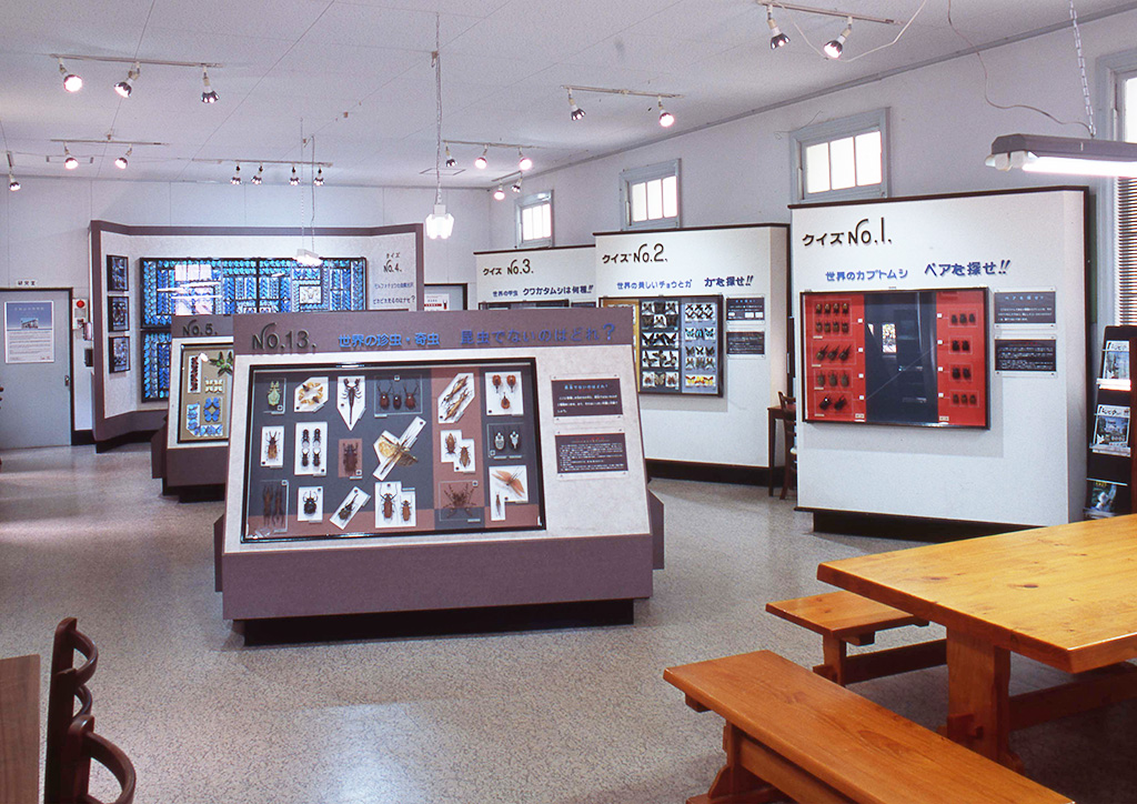 名和昆虫博物館 館内2階(岐阜県/岐阜市)