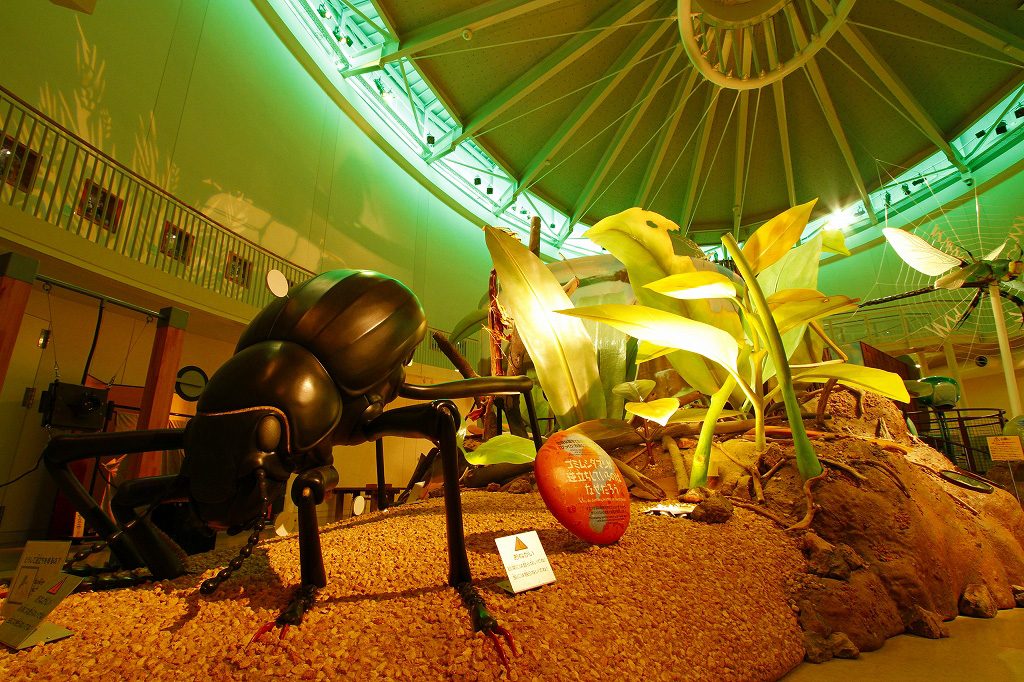 ムシテックワールド（福島県/須賀川市）