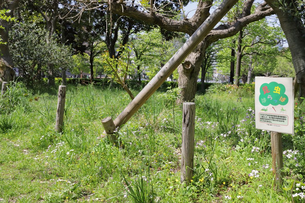 「昆虫原っぱ」/木場公園(東京都/江東区)