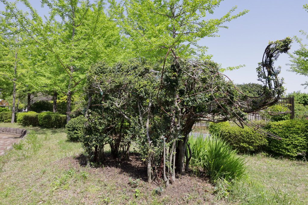 「都市緑化植物園」/木場公園(東京都/江東区)