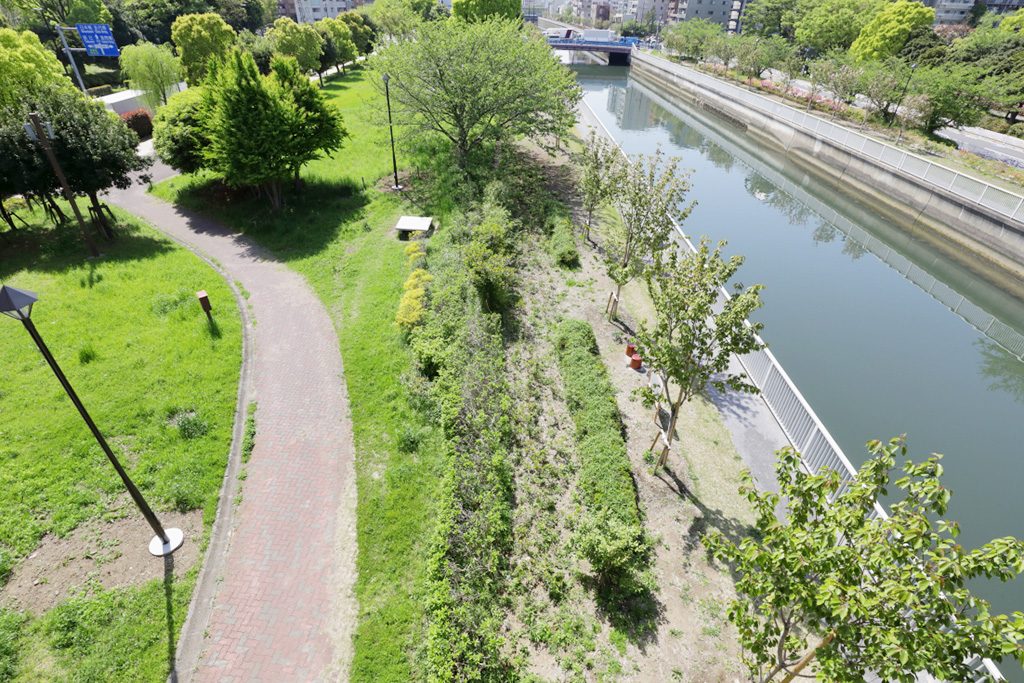 「水辺のプロムナード」/木場公園(東京都/江東区)