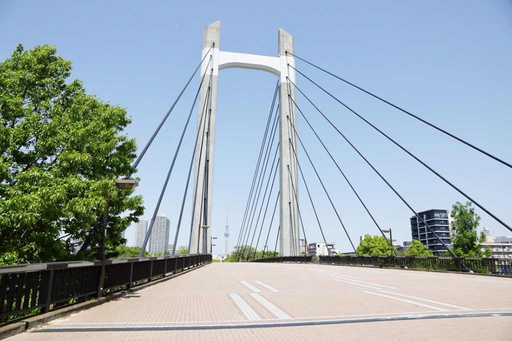 木場公園大橋/木場公園(東京都/江東区)