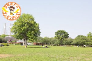 木場公園のアスレチック遊具を紹介！アクセス・駐車場情報も