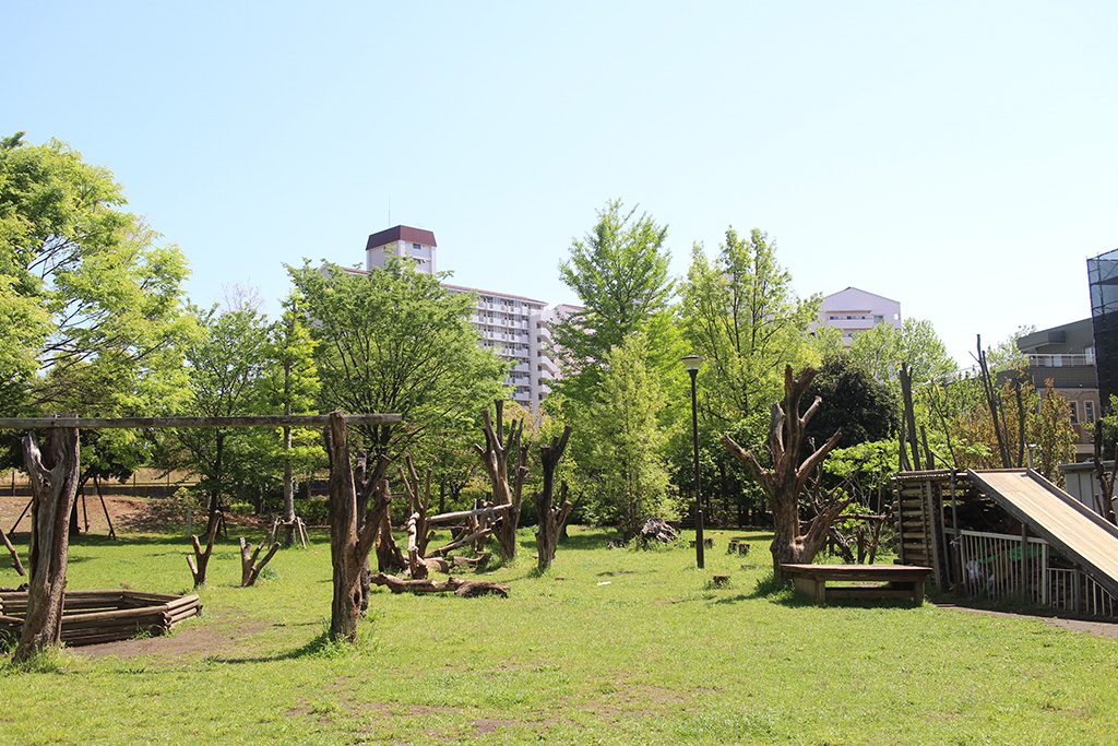 小松川ゆきやなぎ公園(東京都/江戸川区)