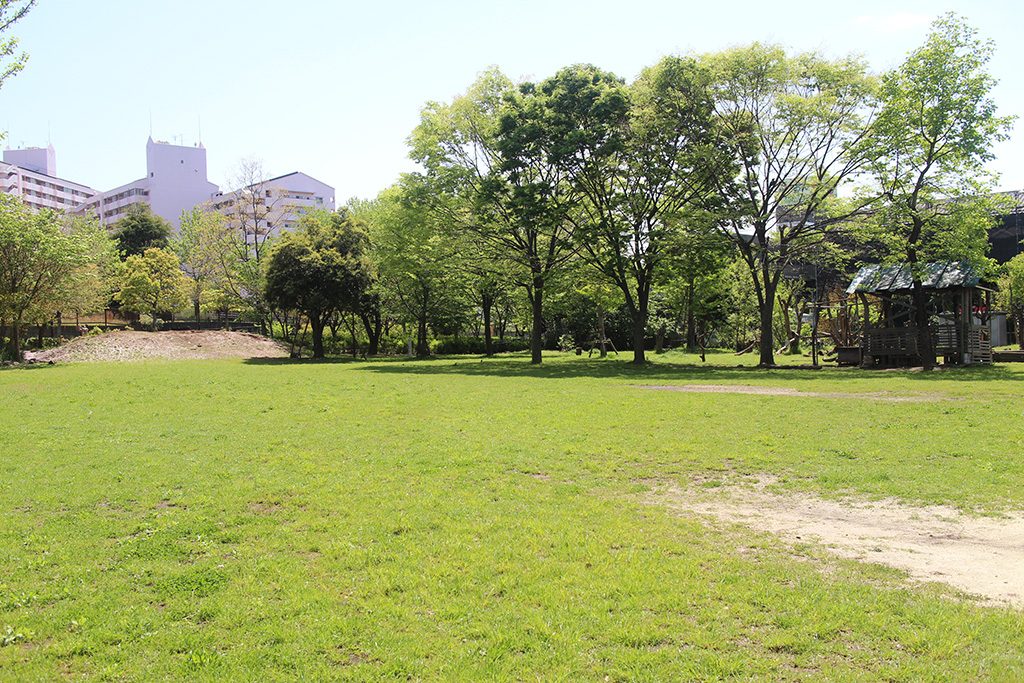 芝生広場/小松川ゆきやなぎ公園(東京都/江戸川区)
